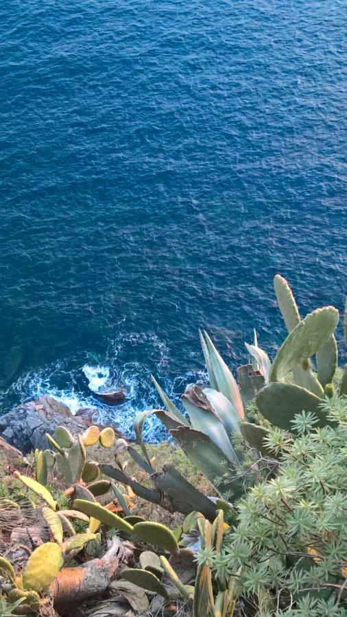 The Pearl Of 5 Terre - Monterosso Apartment Monterosso al Mare Exterior photo